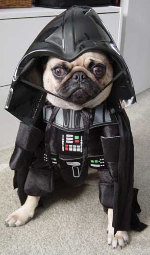 darth-vader-dog-costume You can even accessorise your pooch