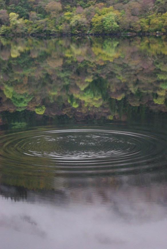 pebble ripples, reflection, loch eck pebble ripples, reflection, loch eck