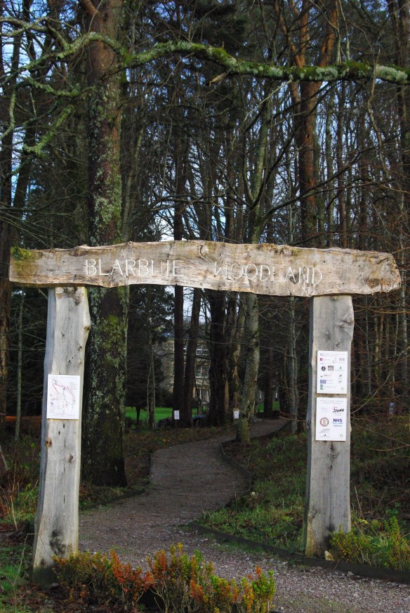 Blarbuie woodland walk, Argyll and Bute hospital