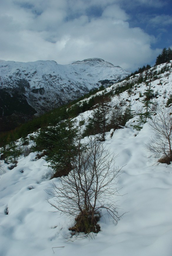 cowal hills, winter, snow