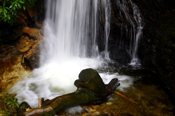 water falling, pucks glen