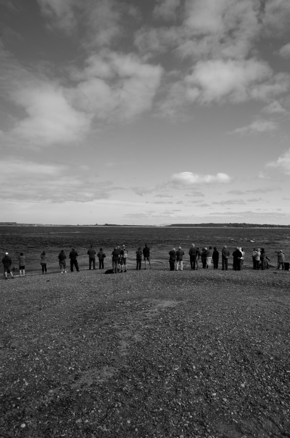 beach, crowd, b and w