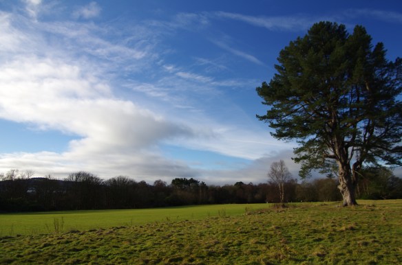cricket pitch, castle toward