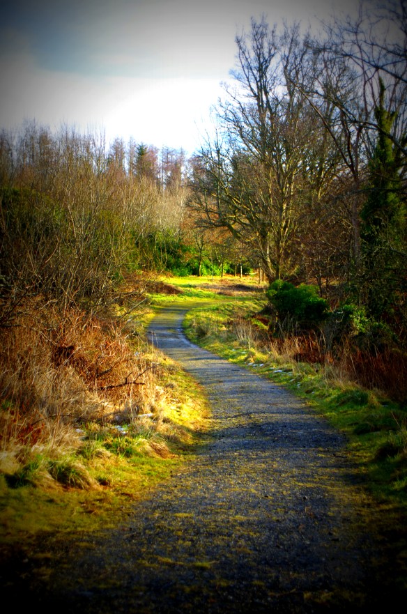 Path, vegetation, Castle Toward