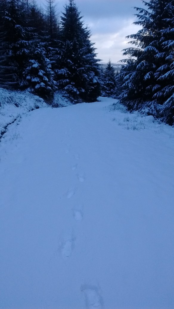 IMG_20180117_095528444